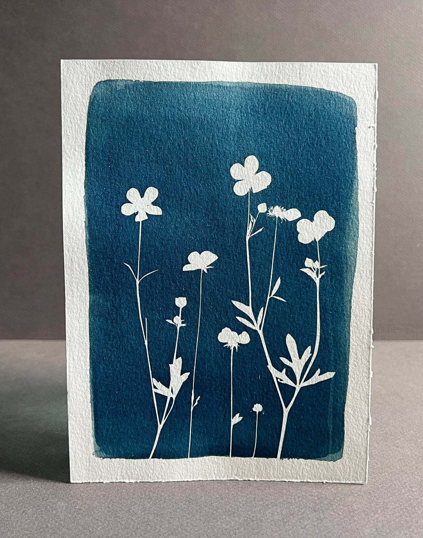 Flowers #278