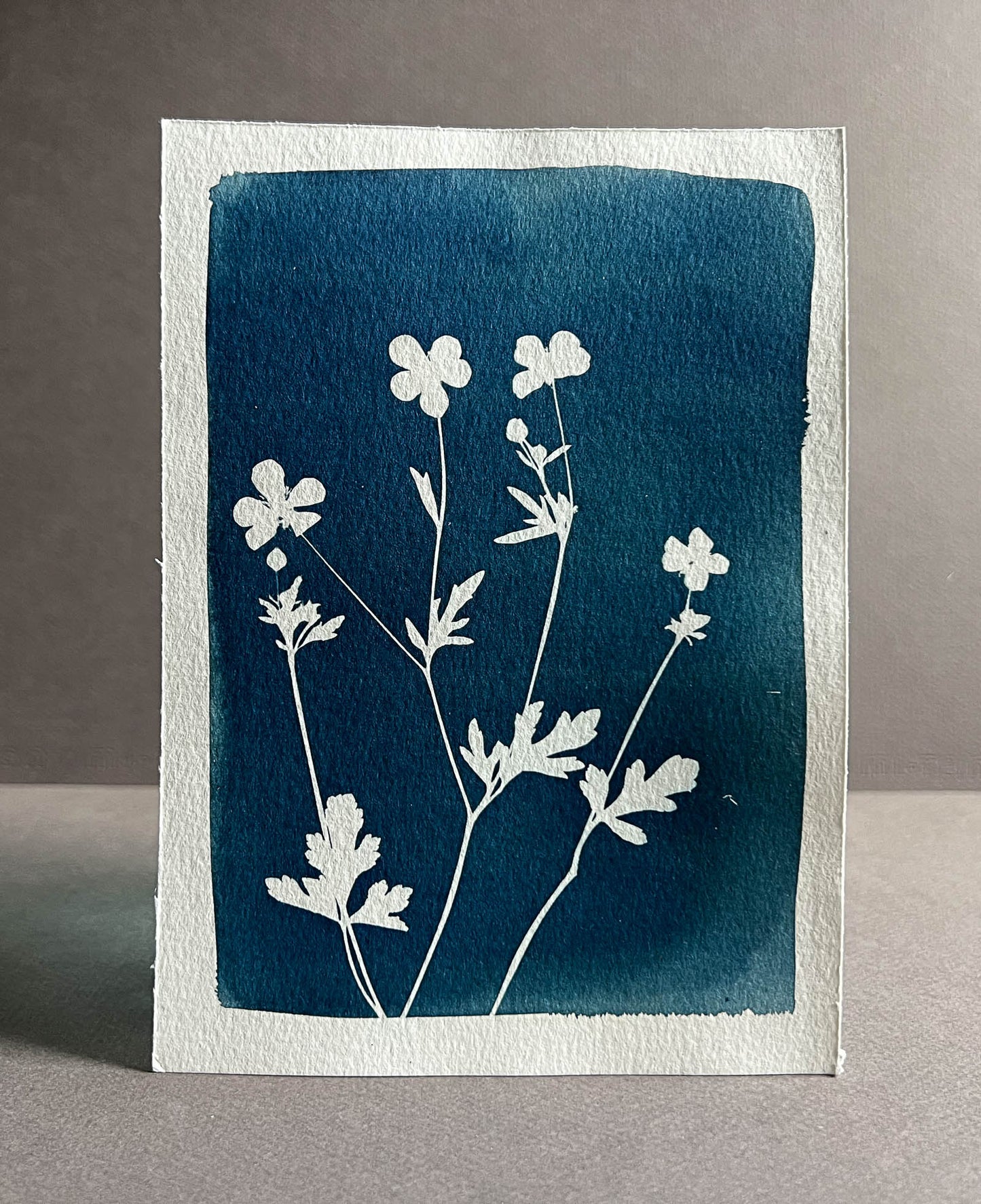 Flowers #279