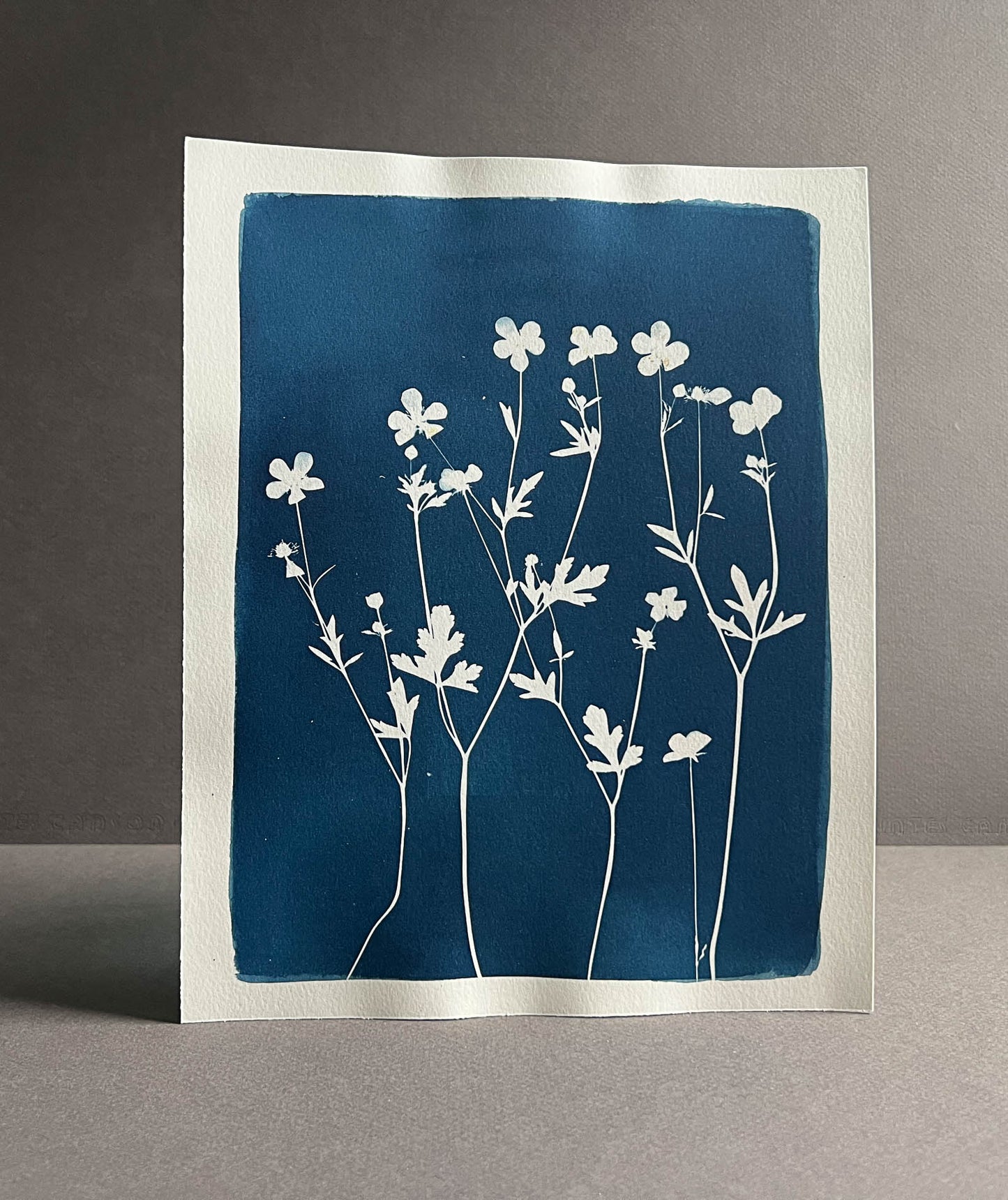 Flowers #288