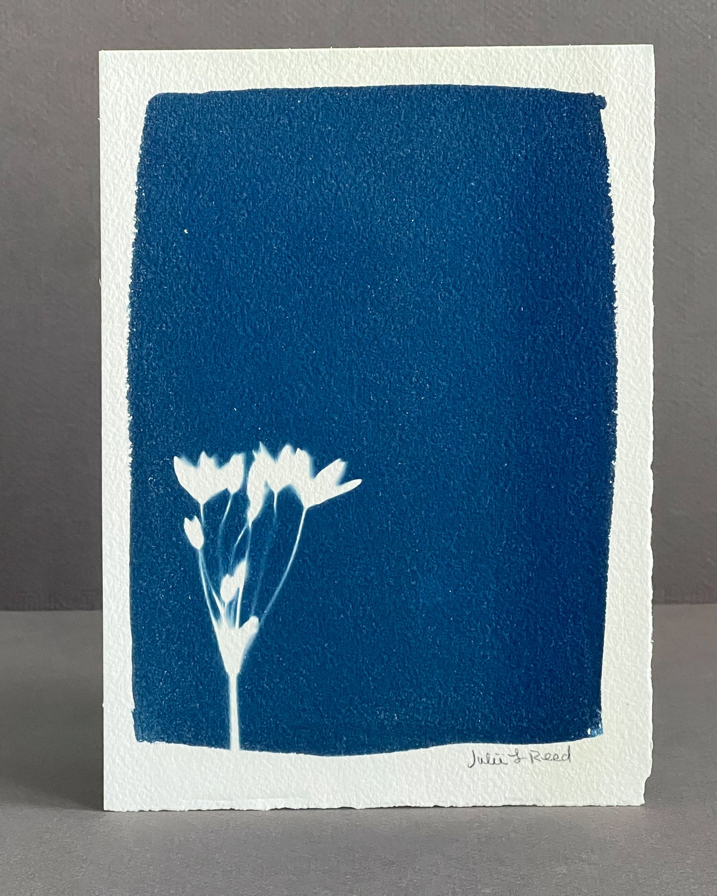Tiny Flowers #239