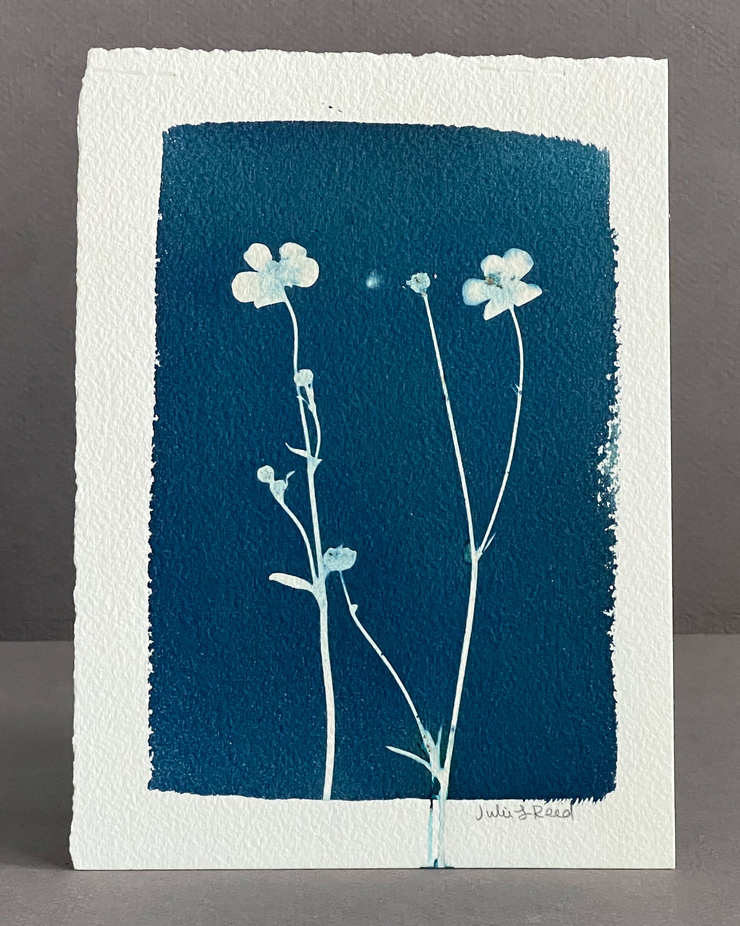 Flower #164