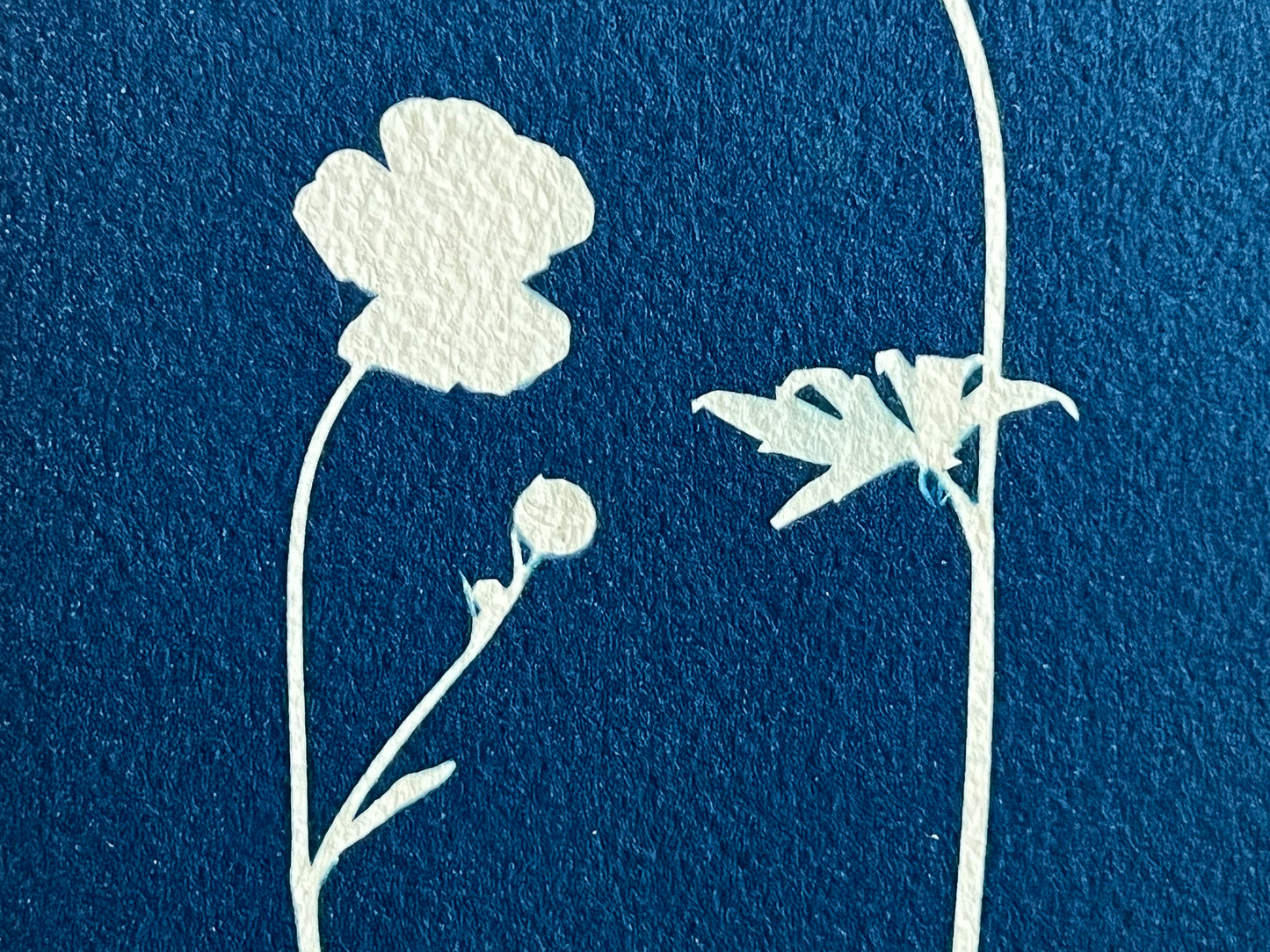 Flower #164