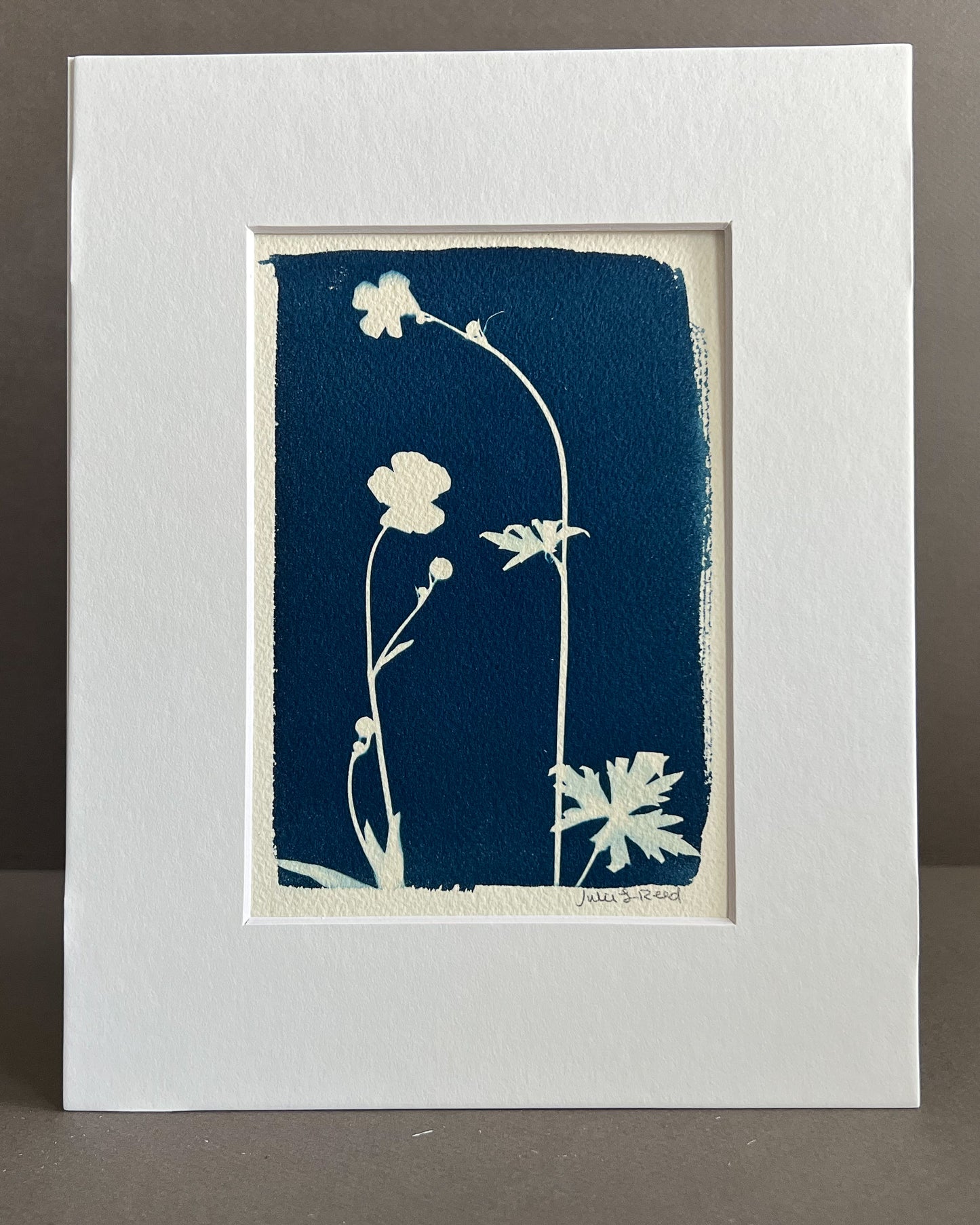 Flower #164
