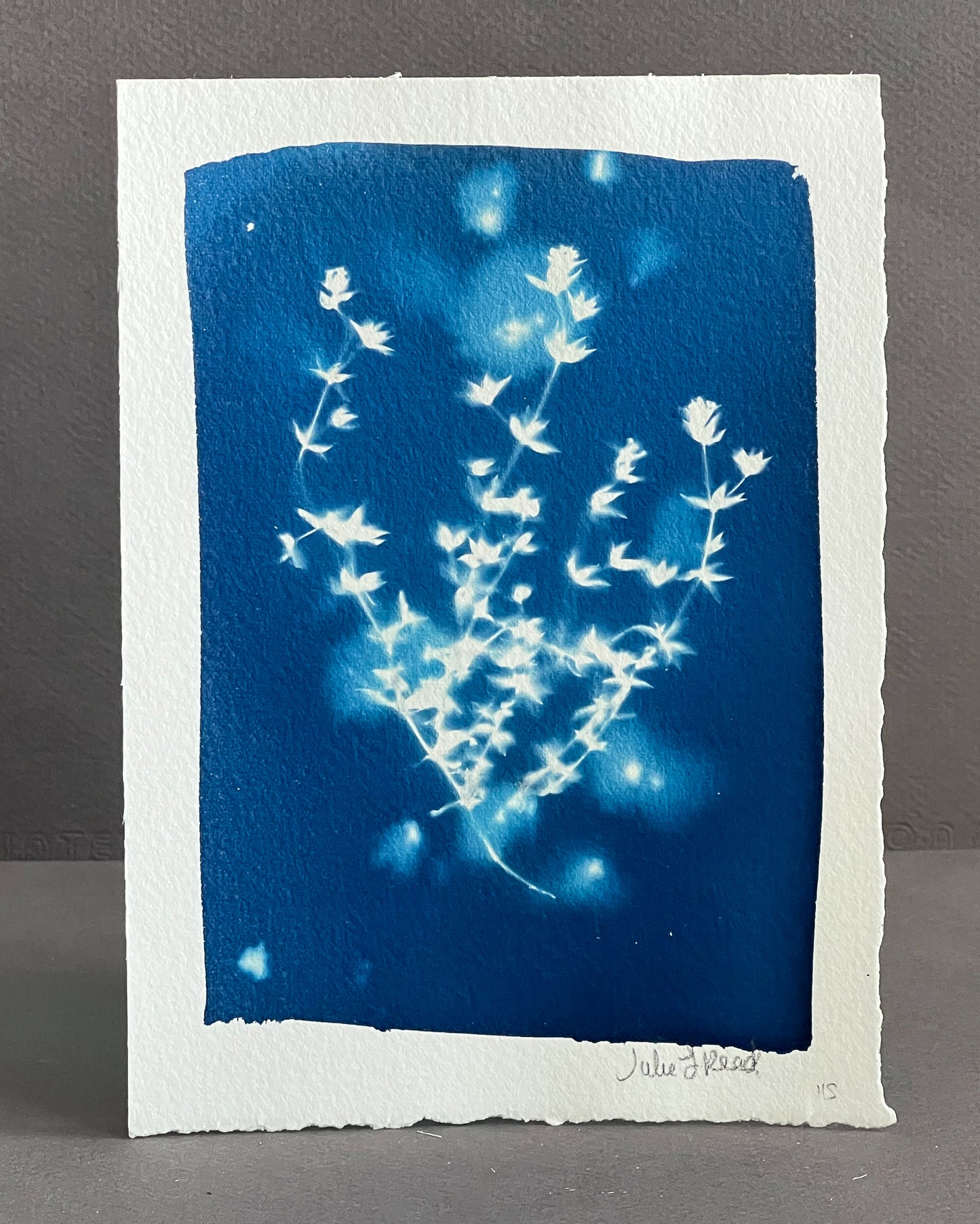 Tiny Flowers #115