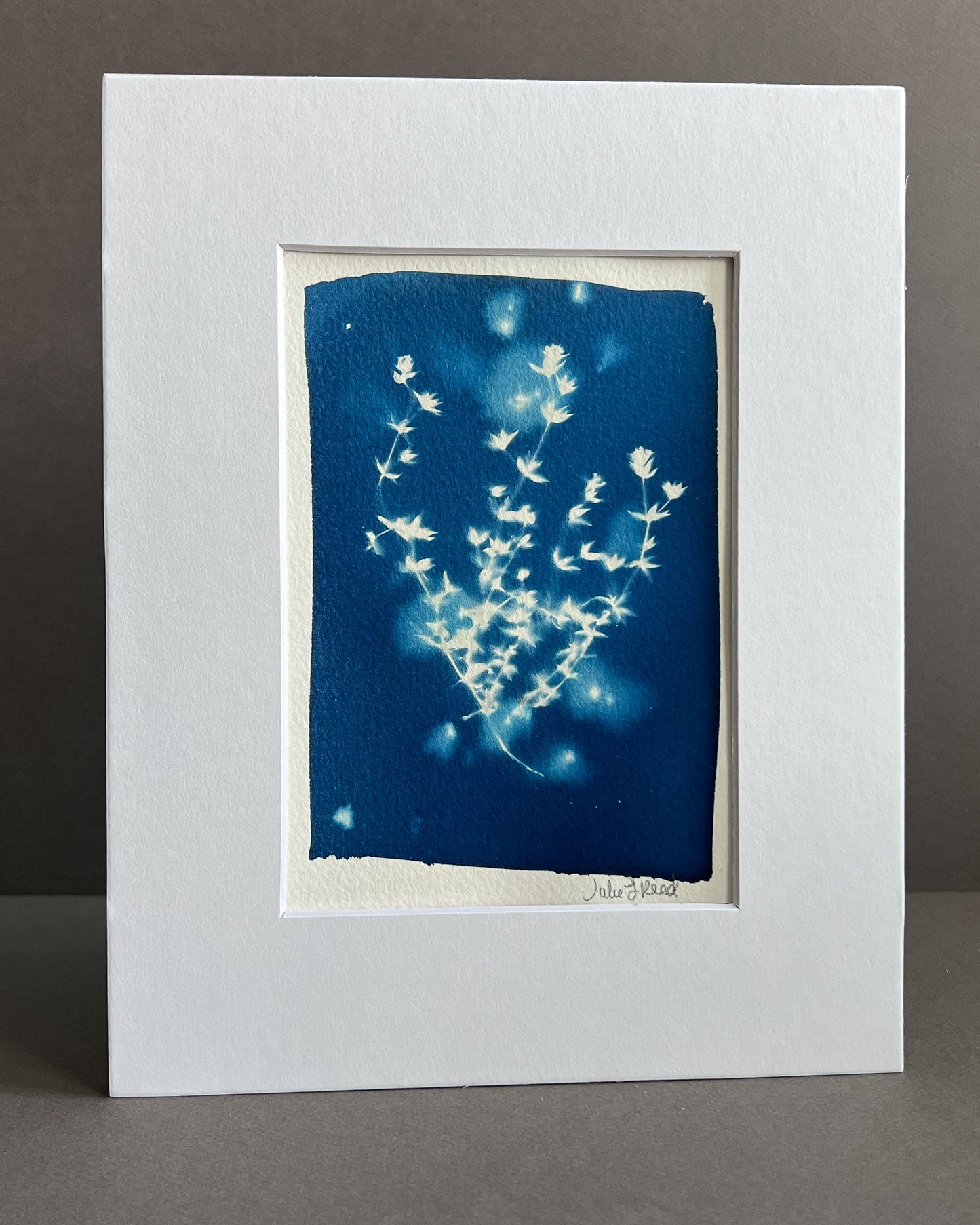 Tiny Flowers #115