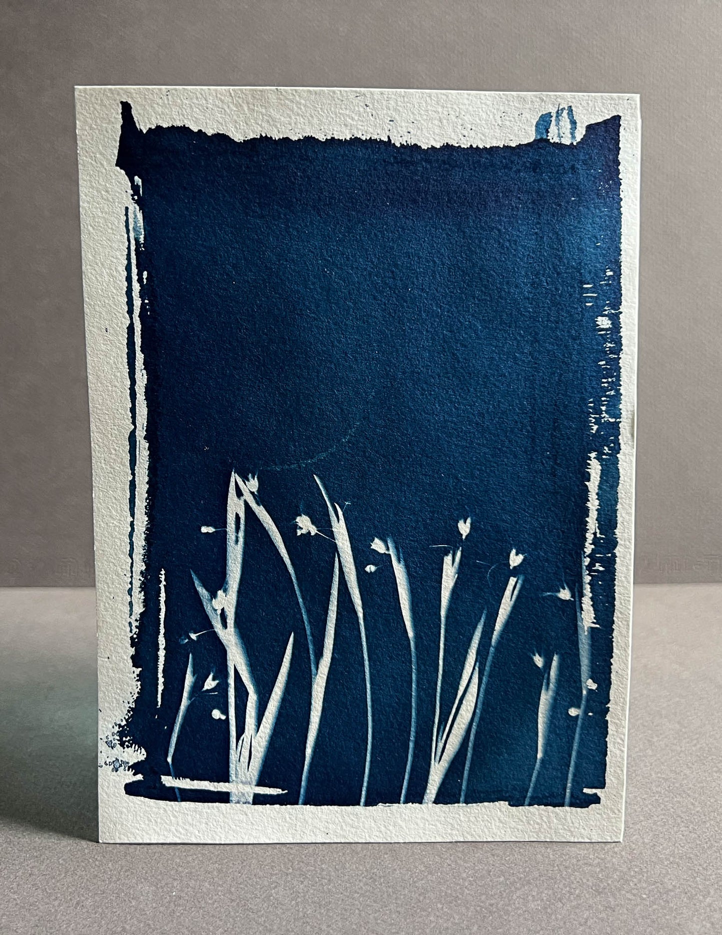 Blue Sky Flowers #275