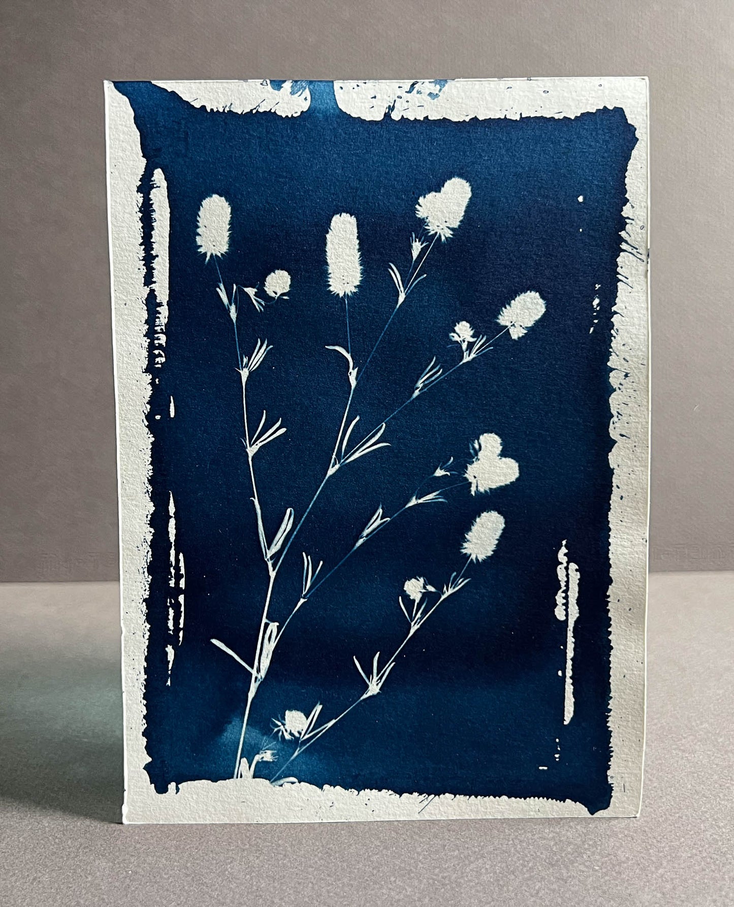 Floral #280