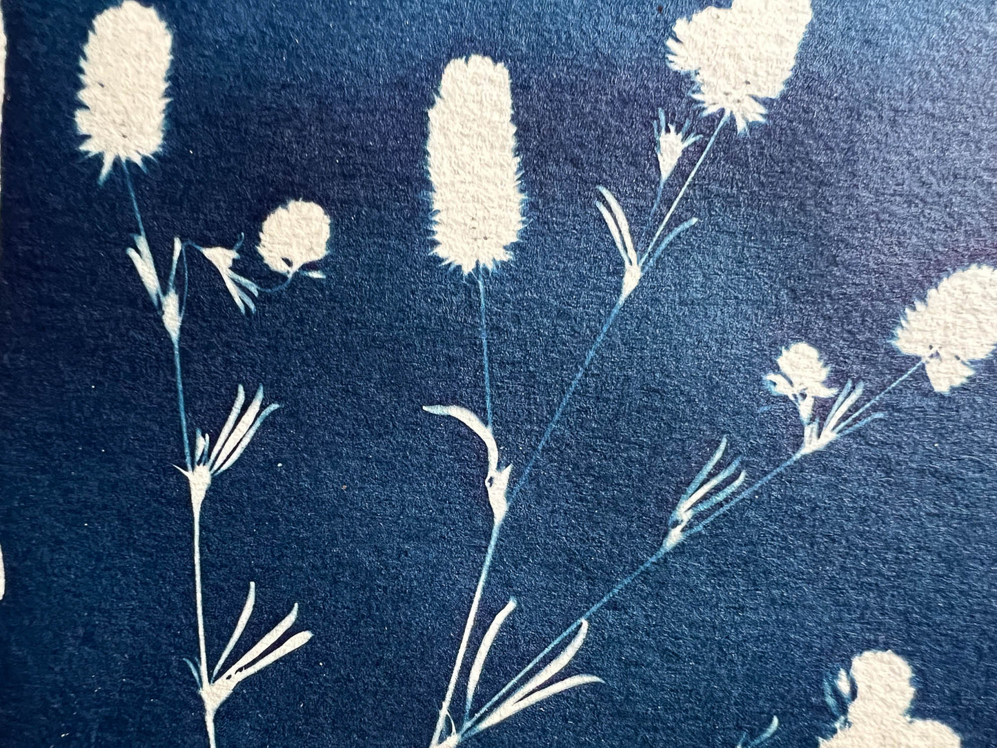Floral #280