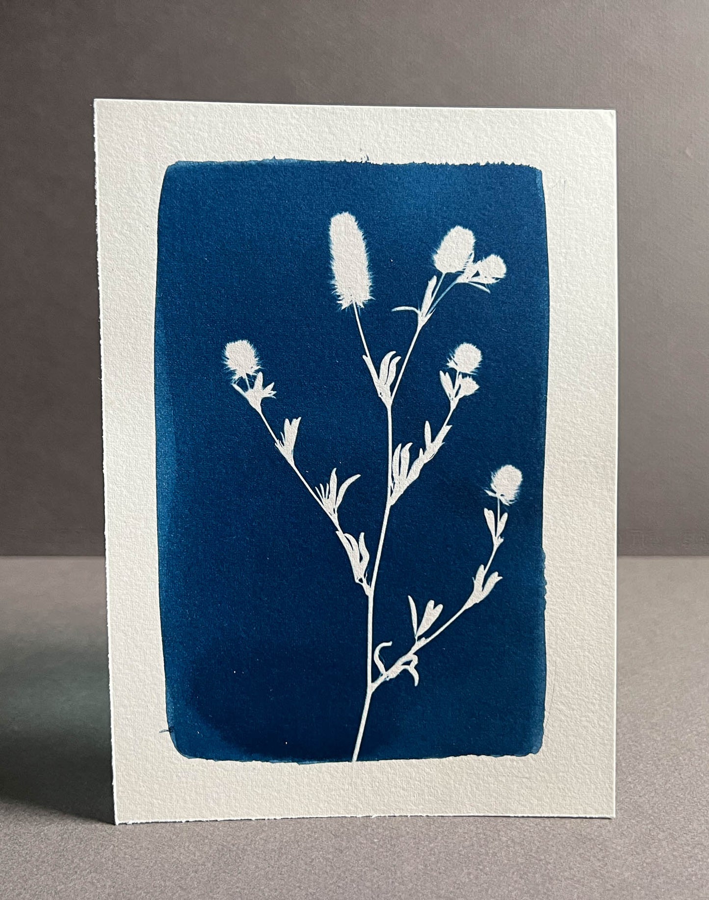 Floral #286