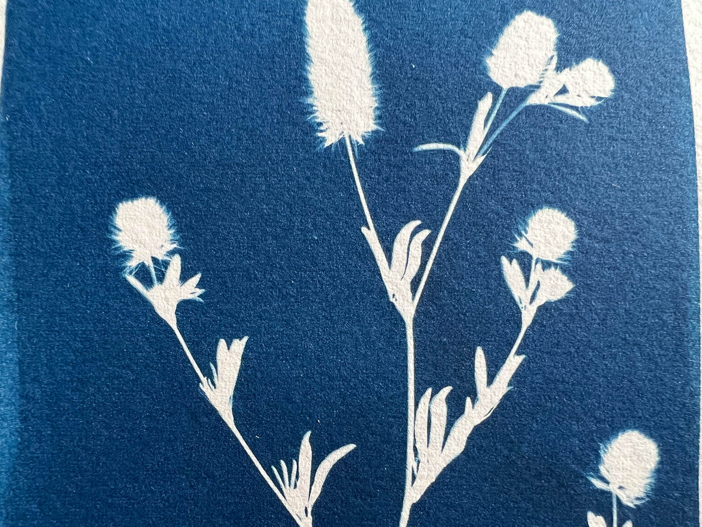 Floral #286