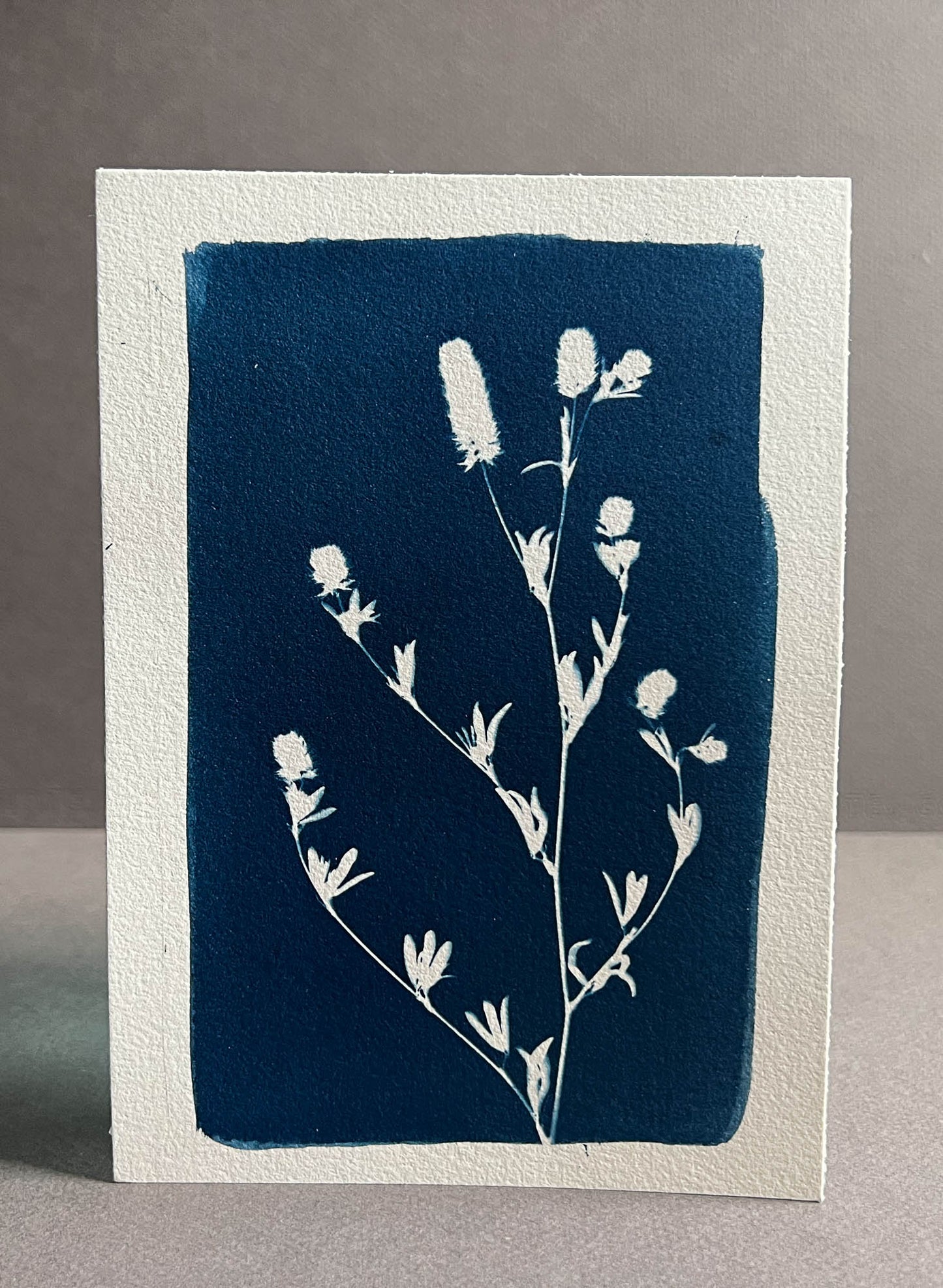 Floral #287