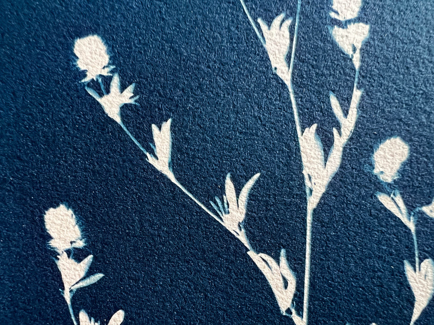 Floral #287