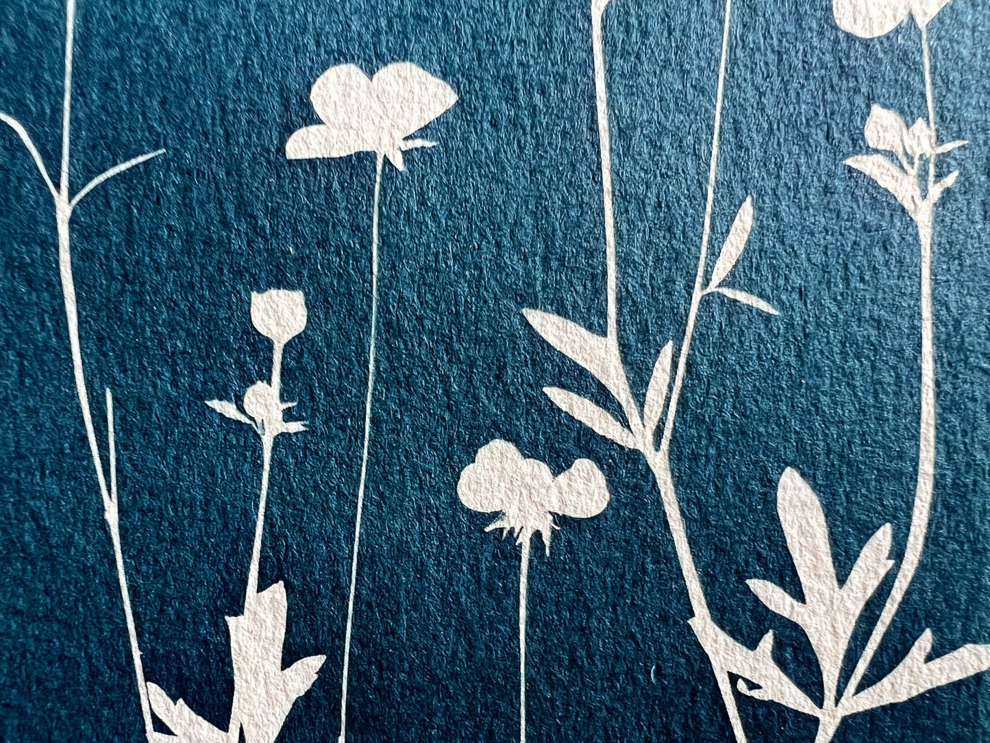 Flowers #278