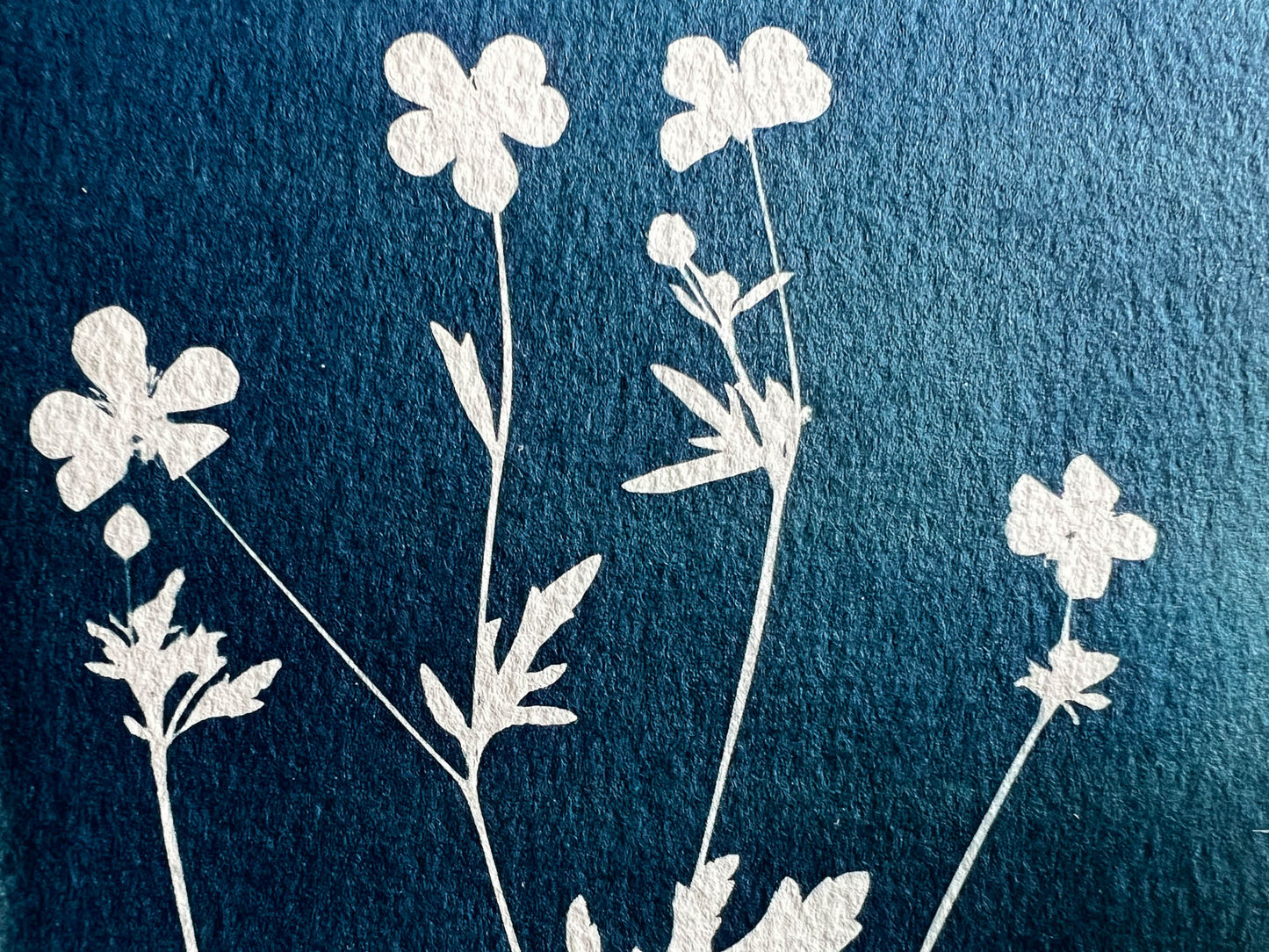 Flowers #279
