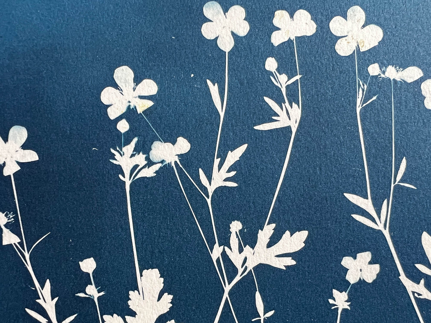 Flowers #288