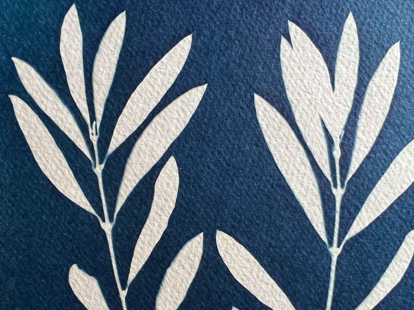 Olive Branches #295