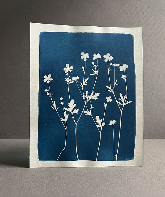 Flowers #288