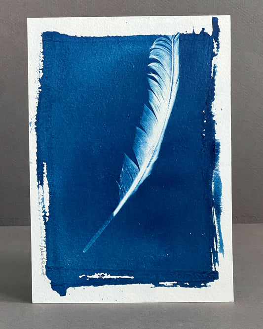 Feather #235