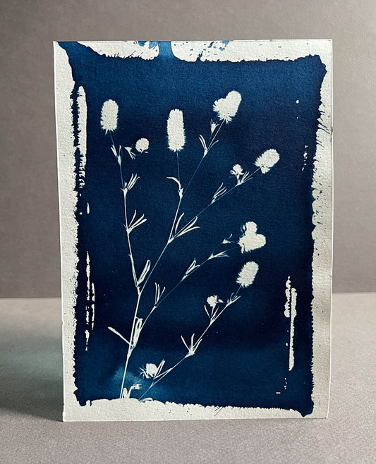 Floral #280