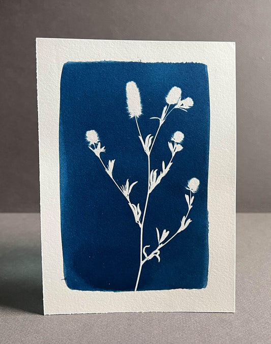 Floral #286